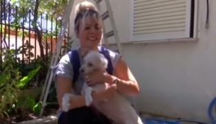 Miracol în Grecia. Un câine care a supravieţuit incendiilor de vegetaţie a fost găsit de o echipă de voluntari