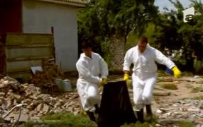 Măcel în satele lovite de pesta porcină. Efectivele de porci s-ar putea diminua cu o treime