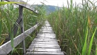 Delta din inima Transilvaniei, zona turistică uitată de lume