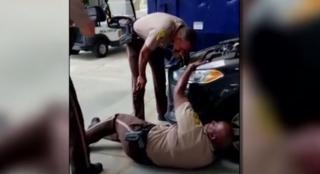 Operaţiune inedită în Miami Polițiștii au salvat o pisică dintre componentele unei mașini