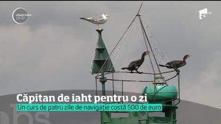 Iahturile şi velierele, noile atracții de la mare. Prețul unei excursii în larg e accesibil pentru orice turist