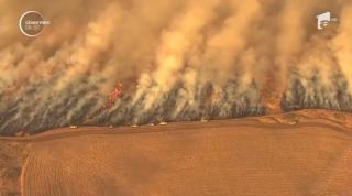 Dezastru în Statele Unite: Un incendiu de vegetaţie s-a extins cu repeziciune şi a făcut scrum 8000 de hectare de teren