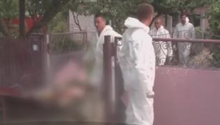 Pesta porcină din România, cea mai mare catastrofă biologică din istorie. Epidemia va afecta grav economia