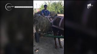 Febra "Kiki Challenge" a cuprins întreaga lume, iar românii au adaptat provocarea virală pentru meleagurile noastre