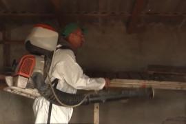 Un nou focar de pestă porcină a fost descoperit în Galaţi. Zeci de mii de porci au fost ucişi până acum