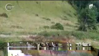 Misiune dificilă pentru pompierii din Prahova! Un incendiu de vegetație a izbucnit lângă Azuga