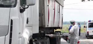 În plină epidemie de pestă porcină în România, localnicii au filmat leşuri de porci plutind pe Dunăre