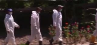 Haos în zonele afectate de pesta porcină. Fermierii se tem că şi-ar putea pierde şi culturile