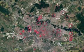 Ambrozia, planta periculoasă ocrotită de stat, se dezvoltă plină de entuziasm exact lângă instituţiile publice