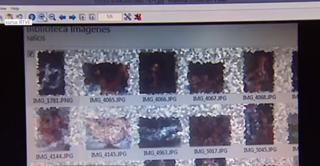 Un român, arestat în Spania şi considerat cel mai periculos dintre pedofilii depistaţi în ultimii ani, în această ţară