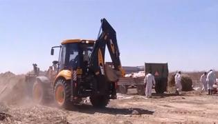 Pesta porcină se extinde necontrolat. În Valea Cânepii, oamenii refuză intrarea în sat a tehnicienilor, pe motiv că animalele lor nu sunt bolnave