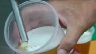 Festivalul Berii Bavareze în Poiana Lupului, din Caraş Severin. Organizatorii promit o mulţime de surprize