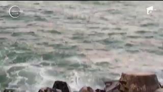 Observator de weekend