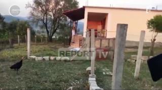 Masacru în Albania. Un bărbat de 24 de ani şi-a ucis toată familia şi a dispărut