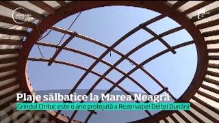 Observator de weekend