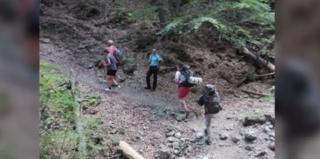 Două turiste din Republica Cehă, plecate în drumeţie în Buşteni, au dat nas în nas cu un urs