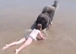 Căţel grijuliu la mare. Reacţia când a simţit că valurile devin periculoase pentru un copil