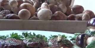 Ciupercile sunt atât de apreciate la noi în ţară, încât îşi au propriul eveniment