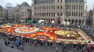Bruxelles-ul a devenit, pentru câteva zile, capitala florilor