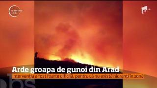 Alertă în Arad după ce un puternic incendiu a izbugnit la groapa de gunoi de la marginea oraşului