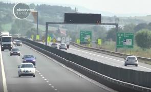 Urs călcat de maşină, pe Autostrada Sibiu - Orăştie. Este al doilea astfel de accident în ultimele 24 de ore