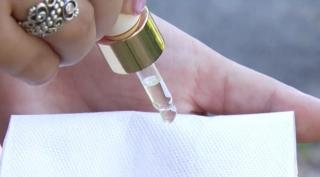 Lupta cu insectele, în Capitală, pare fără sfârşit. Țânţarii şi tigrii de platan par imposibil de stârpit