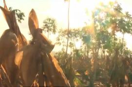 Temperaturile record au provocat în Europa cea mai gravă secetă din ultimii 40 de ani