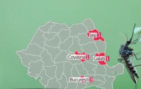 Alertă în București şi în 16 judeţe din cauza virusului West Nile. Şase oameni au murit de la începutul verii