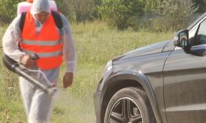 Autorităţile au scăpat de sub control epidemia de pestă porcină