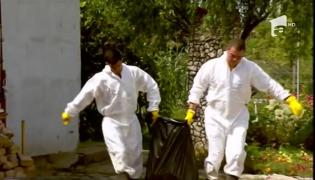 Pesta porcină, plimbată cu camionul, la Cluj