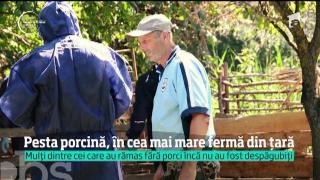 Observator de weekend