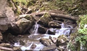 Spectacol inedit al naturii, în nordul judeţului Hunedoara