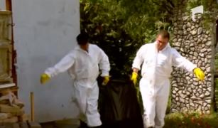 Veterinarii falşi, nou pericol pentru fermierii români afectaţi de pesta porcină