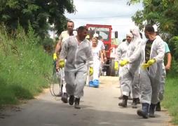 Una dintre cele mai mari ferme de porci din România va rămâne de azi fără nici un animal