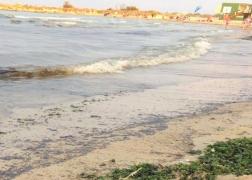 Poluare cu petrol în Mangalia! Petele de țiței se văd atât în apă, cât şi pe nisip.