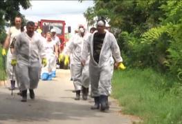 Pesta lasă românii fără porci! În localitatea Vameș autoritățile au sacrificat și animalele sănătoase