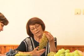 Cele mai renumite soiuri de struguri de masă au fost premiate la Valea Călugărească