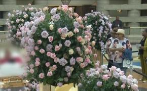 Omagiu pentru Aretha Franklin, la Muzeul de istorie afro-americană din Detroit