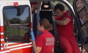 Un bărbat de 54 de ani din Iași, salvat în ultima clipă după ce a fost înţepat de mai multe insecte. Omul intrase în șoc anafilactic