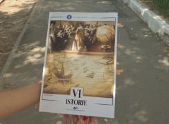 Scandalul manualelor ia amploare. După cartea de geografie, şi cea de istorie ar putea fi retipărită