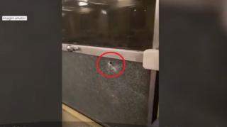 Mărturia unei femei din trenul care circula între Timișoara și Reșita, după ce pasagerii au povestit că un glonţ a străpuns un vagon