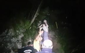 Patru bucureșteni au dat nas în nas cu un urs, pe un traseu montan din Prahova