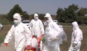 Prevenție cu lopata. Porcii îmbolnăviți din Galați au fost îngropați peste noapte de veterinari