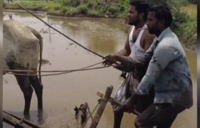 Doi indieni au devenit celebri cu "Kiki Challenge", varianta la plug