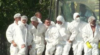 Măsuri disperate pentru a proteja fermele de porci aflate în apropierea ultimelor focare descoperite