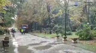 Furtună devastatoare în Târgu-Jiu. Străzi inundate şi copaci puşi la pământ