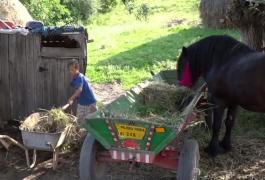 Învăţaţi de mici cu munca în gospodărie, şcoala e un privilegiu pentru copiii de la sat