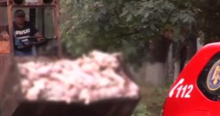 Anchetă după incendiul la ferma din Brăila afectată de pesta porcină