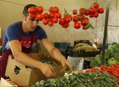 Conservele româneşti sunt făcute cu legume de import. Murăturile şi zacusca mai sunt bio doar dacă le preparăm în casă