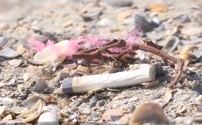 Mii de tone de deșeuri, adunate de pe litoralul românesc (Video)